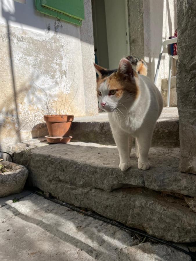 Willa Maja Stone House Kornić Zewnętrze zdjęcie